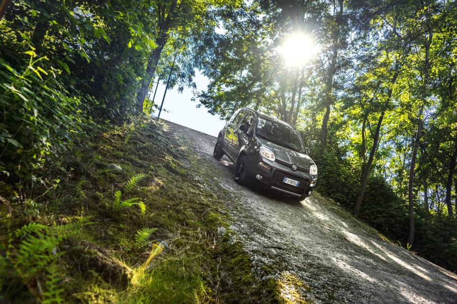  Fiat Panda 4x4 2017 года  (фото 2 из 26)